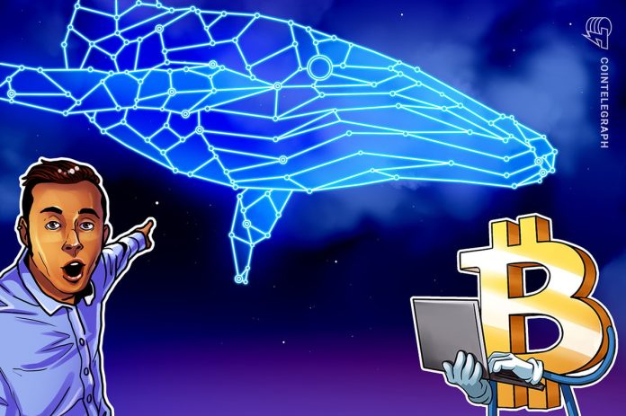 Over $6B worth of BTC moved by fifth-richest Bitcoin whale